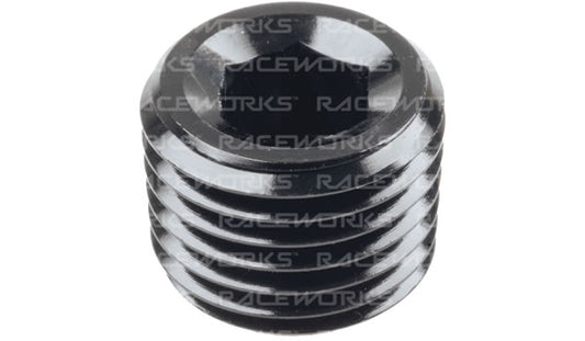 In Hex NPT Plug