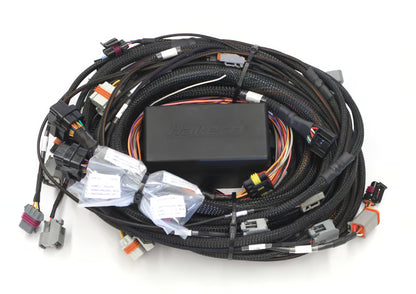 Elite 2500 GM GEN III LS1 & LS6 (DBW Retrofit Ready) Terminated Harness (EV1)
