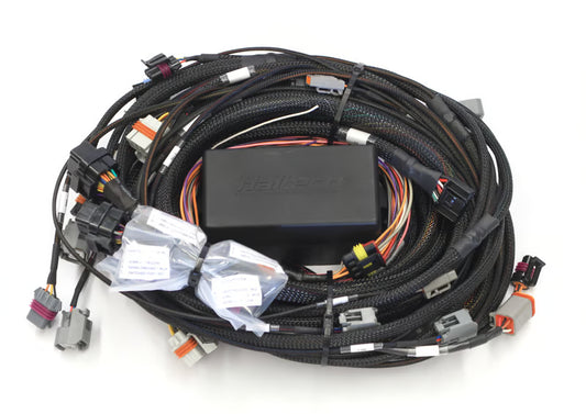Elite 2500 GM GEN III LS1 & LS6 (DBW Retrofit Ready) Terminated Harness (EV1)