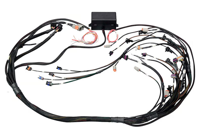 Elite 2000/2500 GM GEN IV LSx (LS2/LS3 etc) non DBW Terminated Harness (EV1)