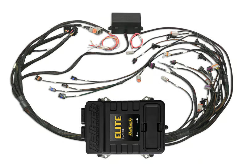 Elite 2500 + GM GEN III LS1 & LS6 non DBW Terminated Harness Kit (EV1)