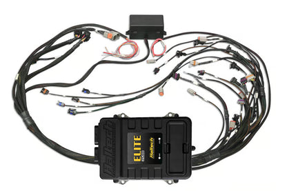 Elite 2500 + GM GEN III LS1 & LS6 non DBW Terminated Harness Kit (EV1)