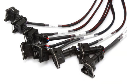 Elite 2500 + GM GEN III LS1 & LS6 non DBW Terminated Harness Kit (EV1)