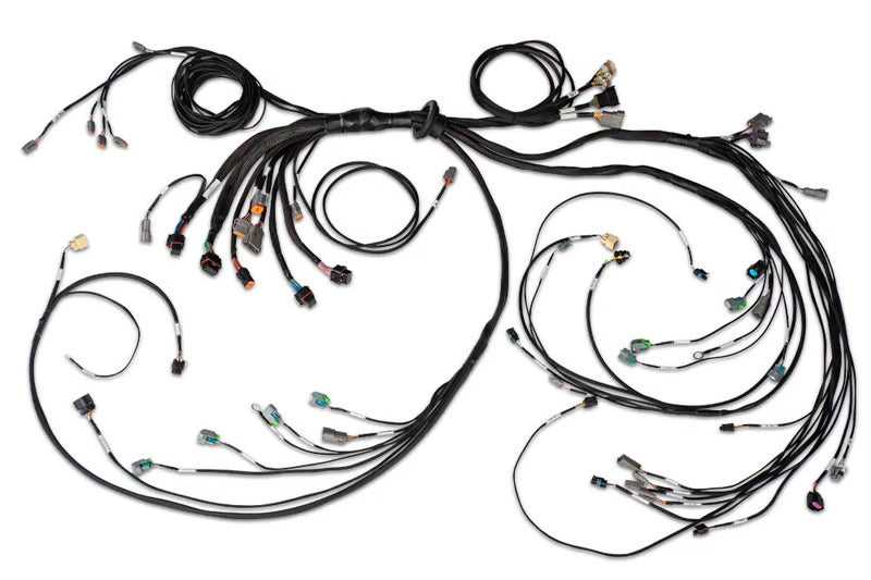 Nexus R5 LSx DBW Terminated Harness - DBW ready