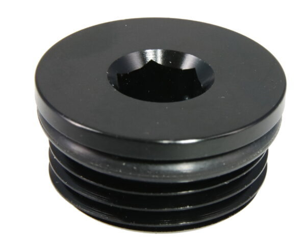 AN In Hex O-Ring Plug