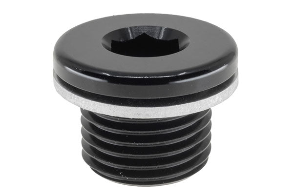 Metric In Hex Plug With Washer